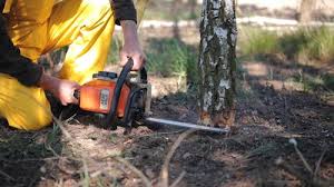 Mulching Services in Prichard, AL