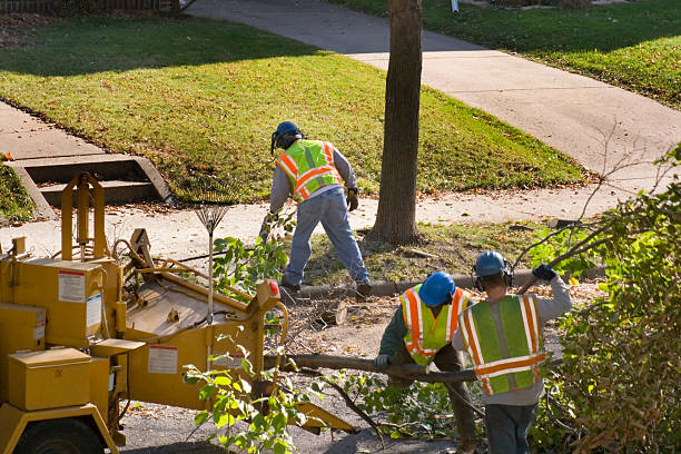 Reliable Prichard, AL Tree Care Services Solutions